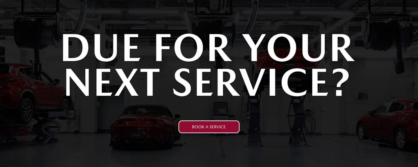 Service Banner L